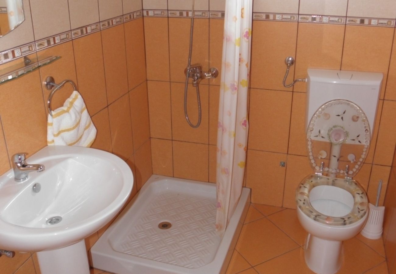 Apartament w Lumbarda - Apartament w Lumbarda z Widok na morze, taras, Klimatyzacja, WIFI (856-3)