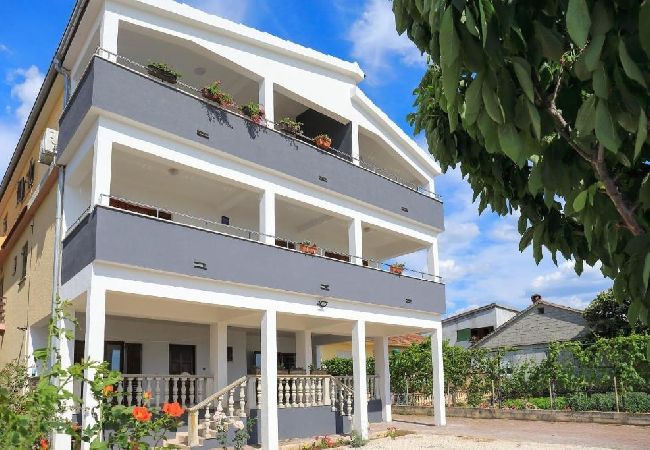 Apartament w Bibinje - Apartament w Bibinje z Widok na morze, taras, Klimatyzacja, WIFI (868-3) Apartament w Bibinje - Apartament w Bibinje z Widok na morze, taras, Klimatyzacja, WIFI (868-3)