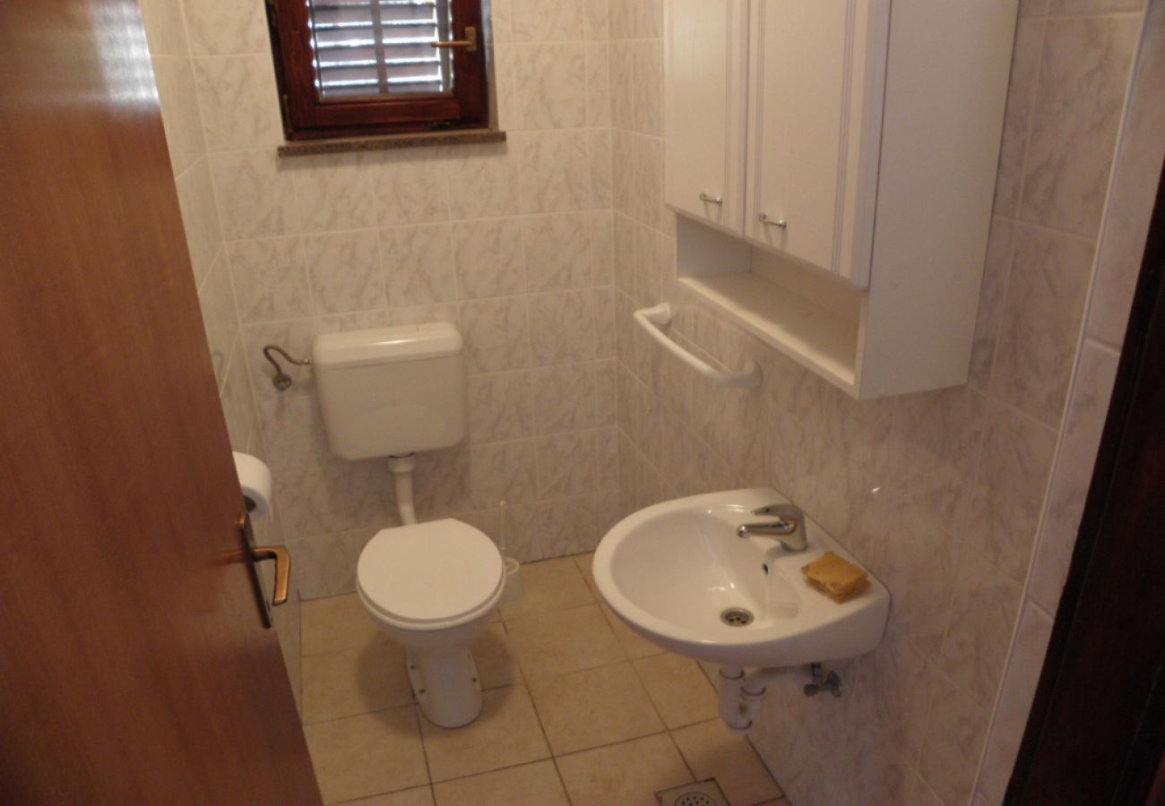 Apartament w Bibinje - Apartament w Bibinje z Widok na morze, taras, Klimatyzacja, WIFI (868-4)