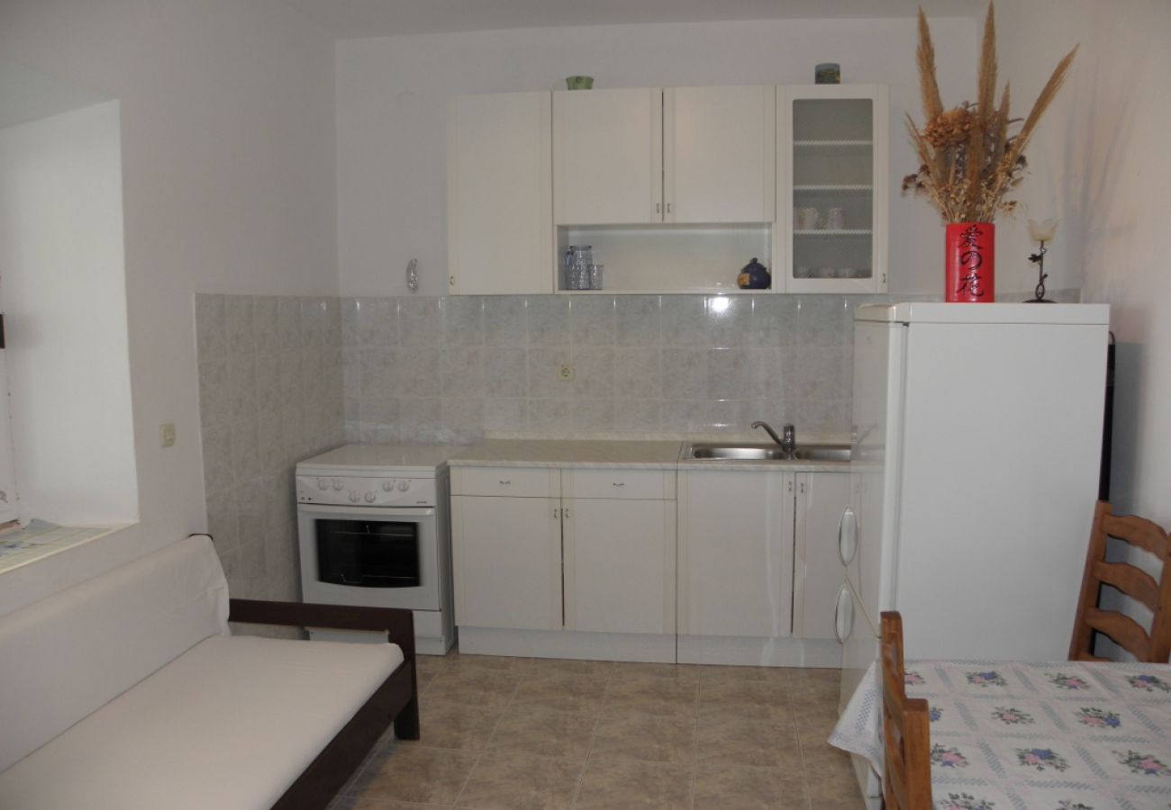 Apartament w Lumbarda - Apartament w Lumbarda z Widok na morze, taras, Klimatyzacja, Pralka (876-1)