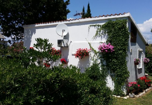 Apartament w Privlaka - Apartament w Sabunike z taras, Klimatyzacja, WIFI, Pralka (231-1) Apartament w Privlaka - Apartament w Sabunike z taras, Klimatyzacja, WIFI, Pralka (231-1)