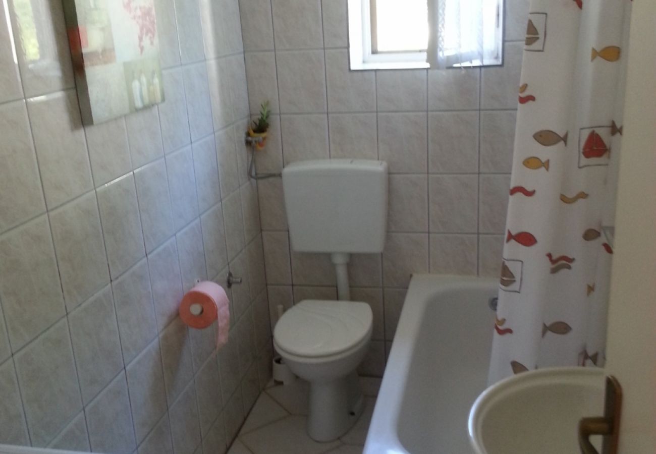 Apartament w Privlaka - Apartament w Sabunike z taras, Klimatyzacja, WIFI, Pralka (231-1)