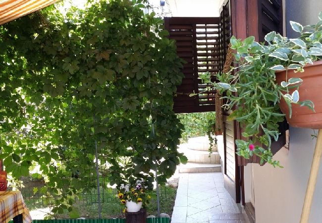 Studio w Privlaka - Apartament Studio w Sabunike z taras, Klimatyzacja, WIFI (231-3) Studio w Privlaka - Apartament Studio w Sabunike z taras, Klimatyzacja, WIFI (231-3)