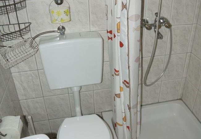 Studio w Privlaka - Apartament Studio w Sabunike z taras, Klimatyzacja, WIFI (231-3) Studio w Privlaka - Apartament Studio w Sabunike z taras, Klimatyzacja, WIFI (231-3)