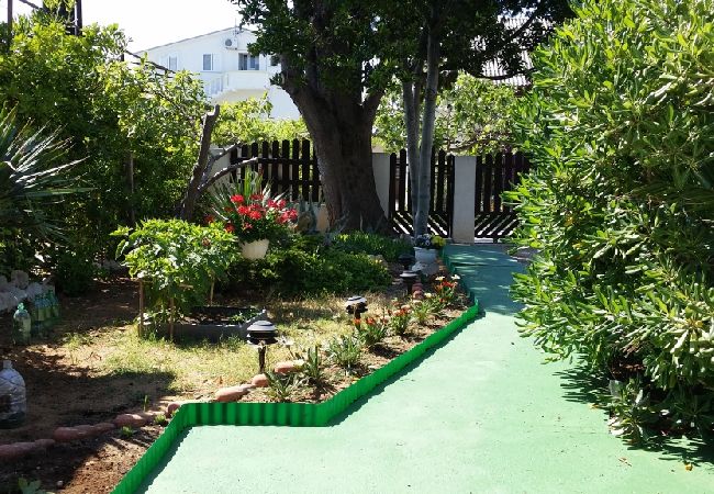 Studio w Privlaka - Apartament Studio w Sabunike z taras, Klimatyzacja, WIFI (231-3) Studio w Privlaka - Apartament Studio w Sabunike z taras, Klimatyzacja, WIFI (231-3)