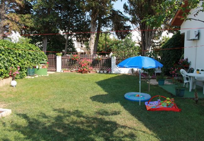 Studio w Privlaka - Apartament Studio w Sabunike z taras, Klimatyzacja, WIFI (231-3) Studio w Privlaka - Apartament Studio w Sabunike z taras, Klimatyzacja, WIFI (231-3)