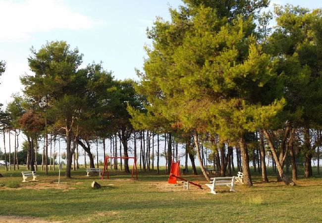 Studio w Privlaka - Apartament Studio w Sabunike z taras, Klimatyzacja, WIFI (231-3) Studio w Privlaka - Apartament Studio w Sabunike z taras, Klimatyzacja, WIFI (231-3)