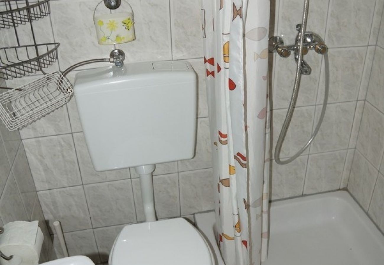 Studio w Privlaka - Apartament Studio w Sabunike z taras, Klimatyzacja, WIFI (231-3)