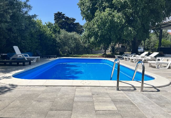 Apartament w Bibinje - Apartament w Bibinje z taras, Klimatyzacja, WIFI, Pralka (877-2) Apartament w Bibinje - Apartament w Bibinje z taras, Klimatyzacja, WIFI, Pralka (877-2)