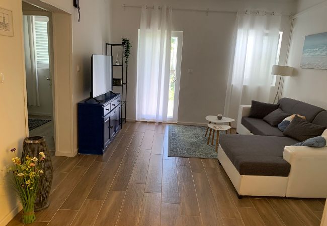 Apartament w Bibinje - Apartament w Bibinje z taras, Klimatyzacja, WIFI, Pralka (877-3) Apartament w Bibinje - Apartament w Bibinje z taras, Klimatyzacja, WIFI, Pralka (877-3)