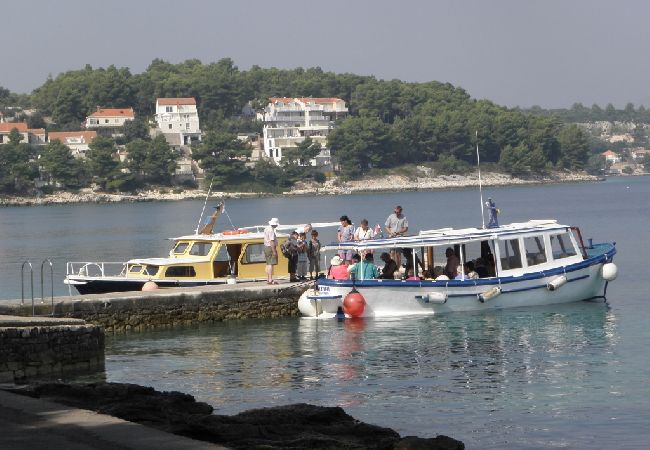 Apartament w Lumbarda - Apartament w Lumbarda z Widok na morze, taras, WIFI, Pralka (869-2) Apartament w Lumbarda - Apartament w Lumbarda z Widok na morze, taras, WIFI, Pralka (869-2)