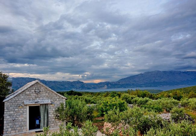 Dom w Pucišca - Domek wypoczynkowy w Pučišća z taras, WIFI, Pralka (887-1) Dom w Pucišca - Domek wypoczynkowy w Pučišća z taras, WIFI, Pralka (887-1)