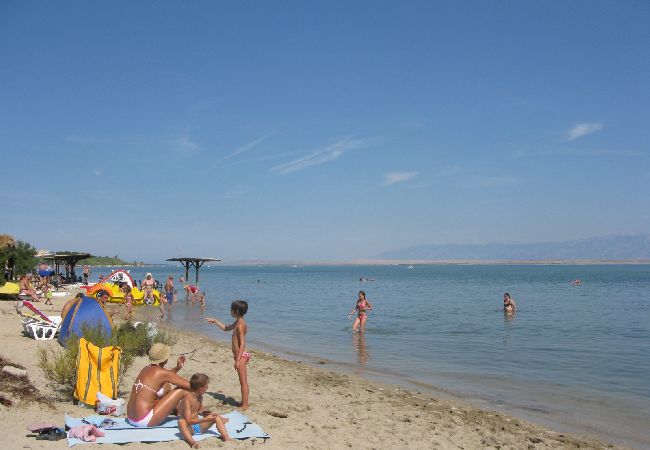 Apartament w Nin - Apartament w Nin z taras, Klimatyzacja, WIFI (864-4) Apartament w Nin - Apartament w Nin z taras, Klimatyzacja, WIFI (864-4)
