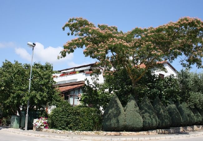 Apartament w Štinjan - Apartament w Štinjan z Widok na morze, Klimatyzacja, WIFI, Pralka (3326-1) Apartament w Štinjan - Apartament w Štinjan z Widok na morze, Klimatyzacja, WIFI, Pralka (3326-1)