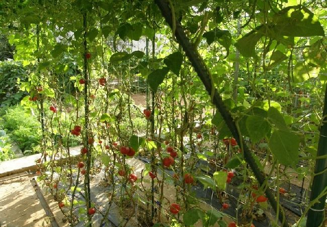 Apartament w Vodice - Apartament w Vodice z Widok na morze, taras, Klimatyzacja, WIFI (3335-3) Apartament w Vodice - Apartament w Vodice z Widok na morze, taras, Klimatyzacja, WIFI (3335-3)