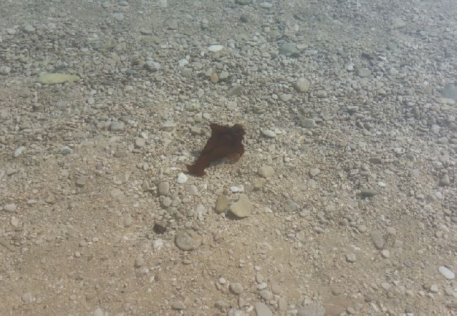 Apartament w Pisak - Apartament w Pisak z Widok na morze, balkon, Klimatyzacja, WIFI (3340-4) Apartament w Pisak - Apartament w Pisak z Widok na morze, balkon, Klimatyzacja, WIFI (3340-4)