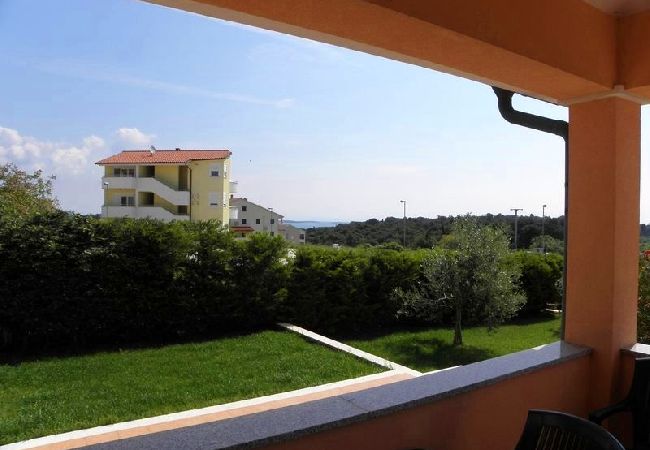 Apartament w Premantura - Apartament w Premantura z taras, Klimatyzacja, WIFI, Pralka (3352-26) Apartament w Premantura - Apartament w Premantura z taras, Klimatyzacja, WIFI, Pralka (3352-26)