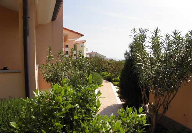 Apartament w Premantura - Apartament w Premantura z taras, Klimatyzacja, WIFI, Pralka (3352-26) Apartament w Premantura - Apartament w Premantura z taras, Klimatyzacja, WIFI, Pralka (3352-26)