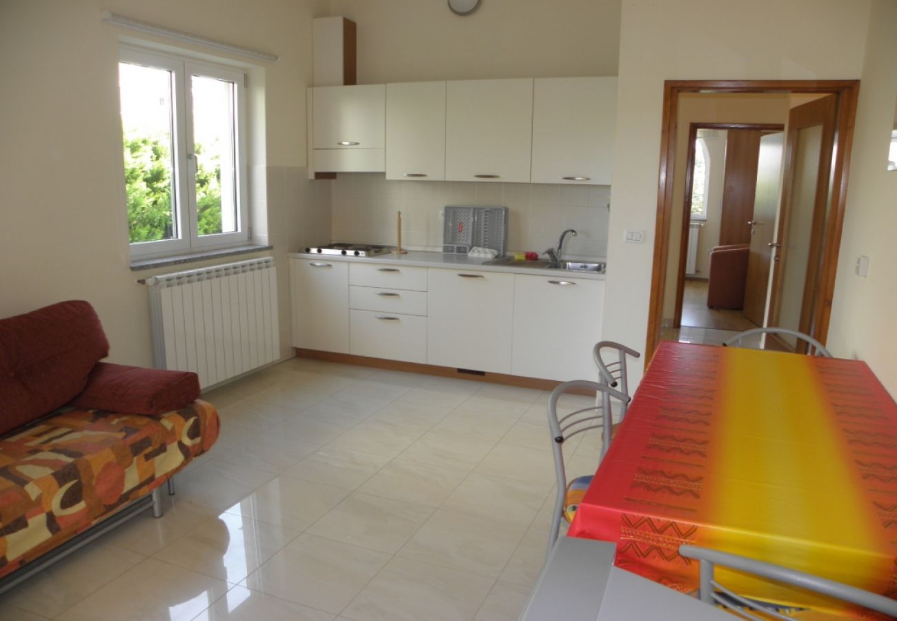 Apartament w Premantura - Apartament w Premantura z taras, Klimatyzacja, WIFI, Pralka (3352-28)