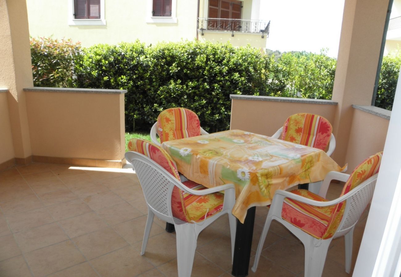 Apartament w Premantura - Apartament w Premantura z taras, Klimatyzacja, WIFI, Pralka (3352-28)