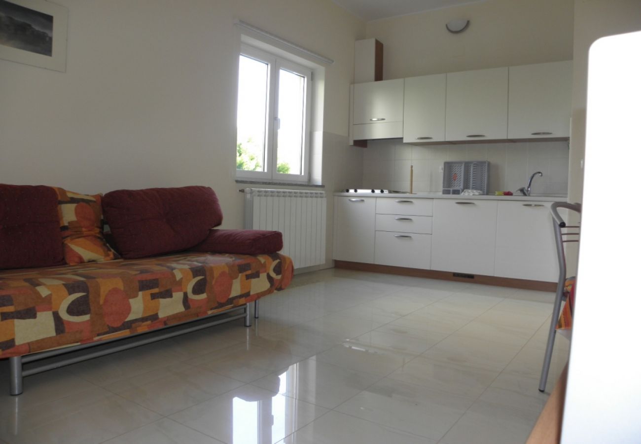 Apartament w Premantura - Apartament w Premantura z taras, Klimatyzacja, WIFI, Pralka (3352-28)