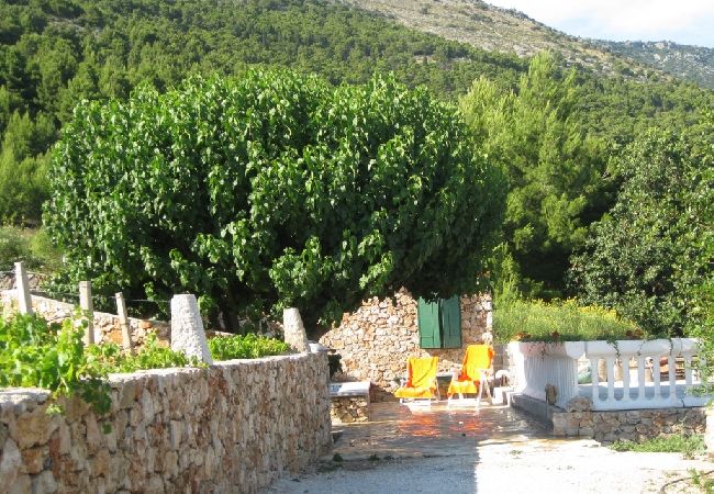 Dom w Bol - Robinson dom w Bol z Widok na morze, taras, Klimatyzacja, WIFI (3414-1) Dom w Bol - Robinson dom w Bol z Widok na morze, taras, Klimatyzacja, WIFI (3414-1)