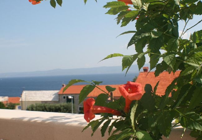 Apartament w Bol - Apartament w Bol z Widok na morze, balkon, Klimatyzacja, WIFI (3417-4) Apartament w Bol - Apartament w Bol z Widok na morze, balkon, Klimatyzacja, WIFI (3417-4)
