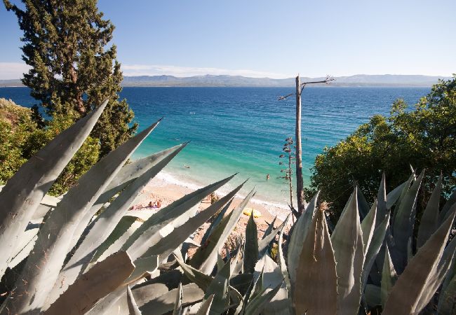 Apartament w Bol - Apartament w Bol z Widok na morze, balkon, Klimatyzacja, WIFI (3417-4) Apartament w Bol - Apartament w Bol z Widok na morze, balkon, Klimatyzacja, WIFI (3417-4)
