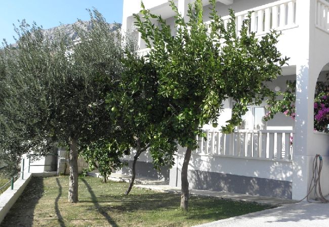 Apartament w Duce - Apartament w Duće z Widok na morze, taras, Klimatyzacja, WIFI (3423-6) Apartament w Duce - Apartament w Duće z Widok na morze, taras, Klimatyzacja, WIFI (3423-6)