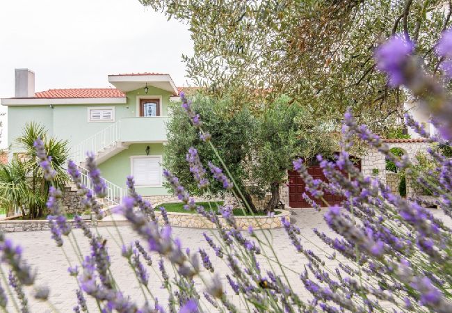 Apartament w Okrug Gornji - Apartament w Okrug Gornji z taras, Klimatyzacja, WIFI (3436-1) Apartament w Okrug Gornji - Apartament w Okrug Gornji z taras, Klimatyzacja, WIFI (3436-1)