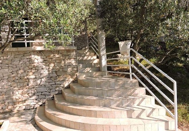 Dom w Tkon - Robinson dom w Tkon z Widok na morze, taras, WIFI (3437-1) Dom w Tkon - Robinson dom w Tkon z Widok na morze, taras, WIFI (3437-1)