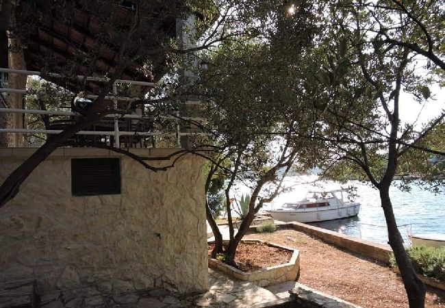Dom w Tkon - Robinson dom w Tkon z Widok na morze, taras, WIFI (3437-1) Dom w Tkon - Robinson dom w Tkon z Widok na morze, taras, WIFI (3437-1)