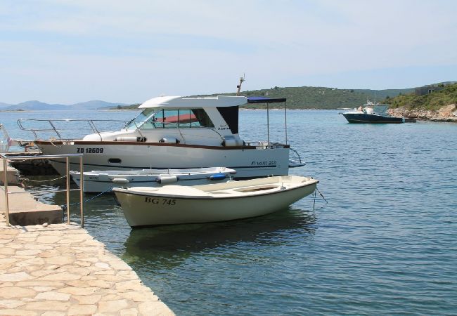 Dom w Tkon - Robinson dom w Tkon z Widok na morze, taras, WIFI (3437-1) Dom w Tkon - Robinson dom w Tkon z Widok na morze, taras, WIFI (3437-1)