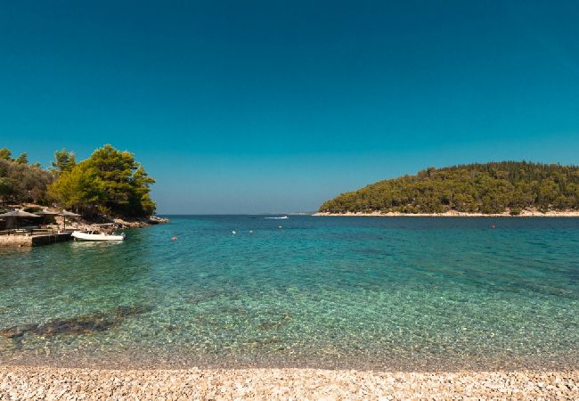 Dom w Vela Luka - Robinson dom w Vela Luka z Widok na morze, taras, Klimatyzacja, WIFI (3439-1) Dom w Vela Luka - Robinson dom w Vela Luka z Widok na morze, taras, Klimatyzacja, WIFI (3439-1)