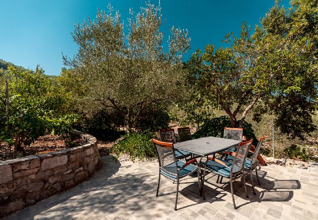Dom w Vela Luka - Robinson dom w Vela Luka z Widok na morze, taras, Klimatyzacja, WIFI (3439-1) Dom w Vela Luka - Robinson dom w Vela Luka z Widok na morze, taras, Klimatyzacja, WIFI (3439-1)