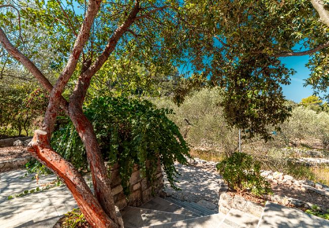 Dom w Vela Luka - Robinson dom w Vela Luka z Widok na morze, taras, Klimatyzacja, WIFI (3439-1) Dom w Vela Luka - Robinson dom w Vela Luka z Widok na morze, taras, Klimatyzacja, WIFI (3439-1)