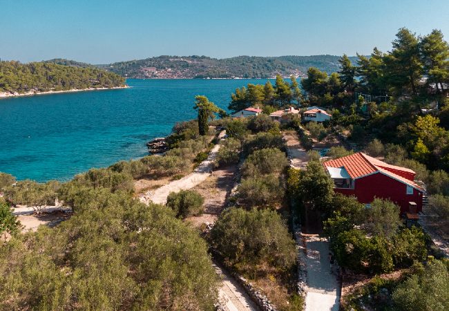 Dom w Vela Luka - Robinson dom w Vela Luka z Widok na morze, taras, Klimatyzacja, WIFI (3439-1) Dom w Vela Luka - Robinson dom w Vela Luka z Widok na morze, taras, Klimatyzacja, WIFI (3439-1)