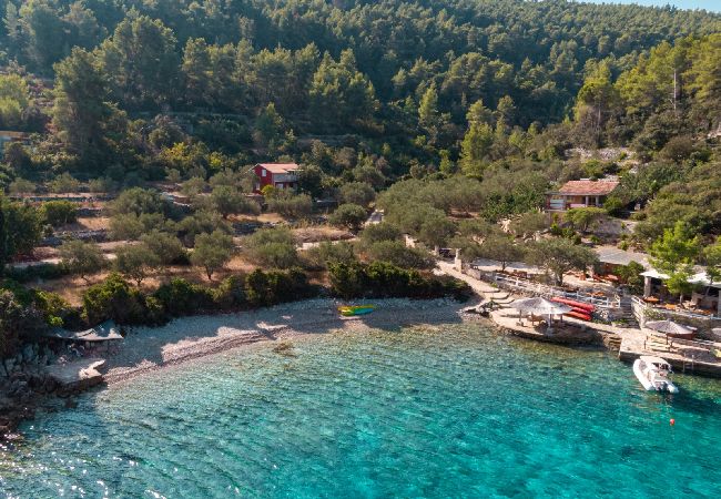 Dom w Vela Luka - Robinson dom w Vela Luka z Widok na morze, taras, Klimatyzacja, WIFI (3439-1) Dom w Vela Luka - Robinson dom w Vela Luka z Widok na morze, taras, Klimatyzacja, WIFI (3439-1)