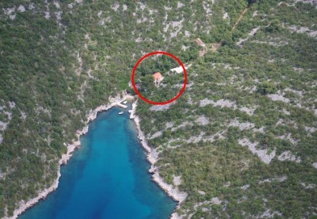 Apartament w Stari Grad - Apartament w Basina z Widok na morze, taras (3450-1) Apartament w Stari Grad - Apartament w Basina z Widok na morze, taras (3450-1)