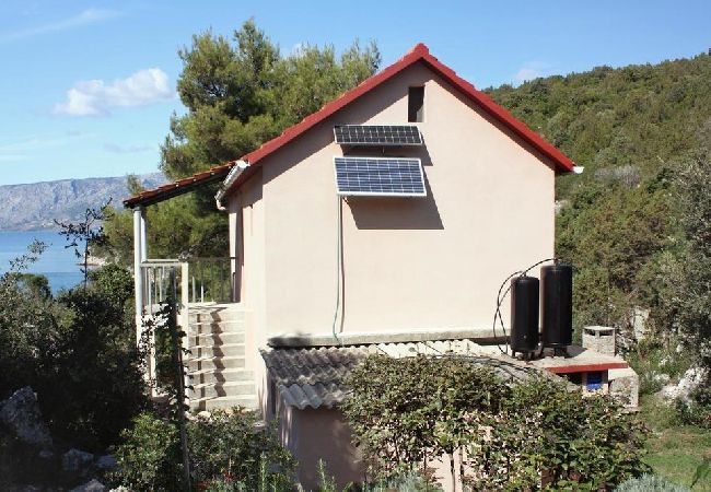 Apartament w Stari Grad - Apartament w Basina z Widok na morze, taras (3450-1) Apartament w Stari Grad - Apartament w Basina z Widok na morze, taras (3450-1)