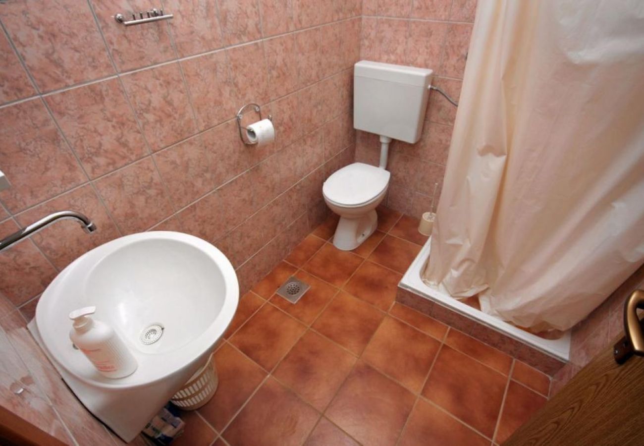 Apartament w Stari Grad - Apartament w Basina z Widok na morze, taras (3450-1)