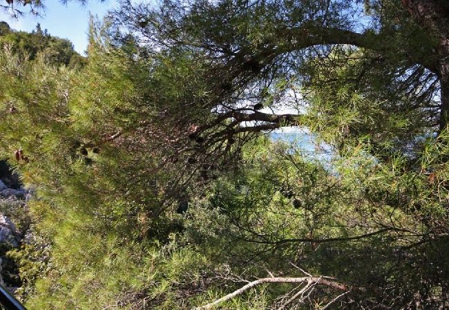 Apartament w Stari Grad - Apartament w Basina z Widok na morze, taras (3450-2) Apartament w Stari Grad - Apartament w Basina z Widok na morze, taras (3450-2)