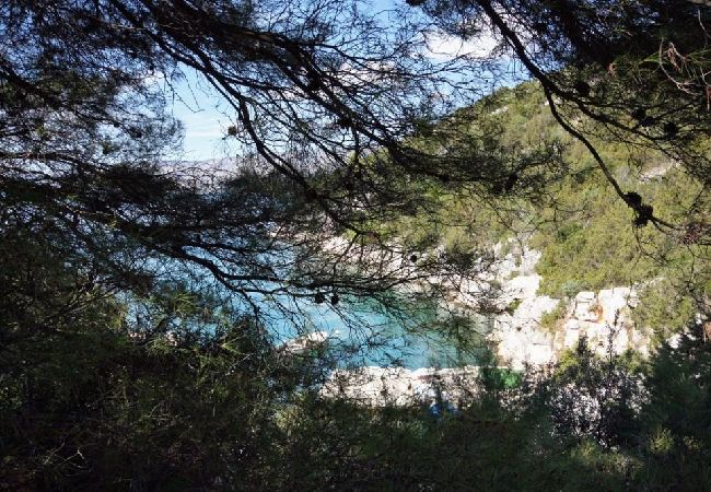 Apartament w Stari Grad - Apartament w Basina z Widok na morze, taras (3450-3) Apartament w Stari Grad - Apartament w Basina z Widok na morze, taras (3450-3)