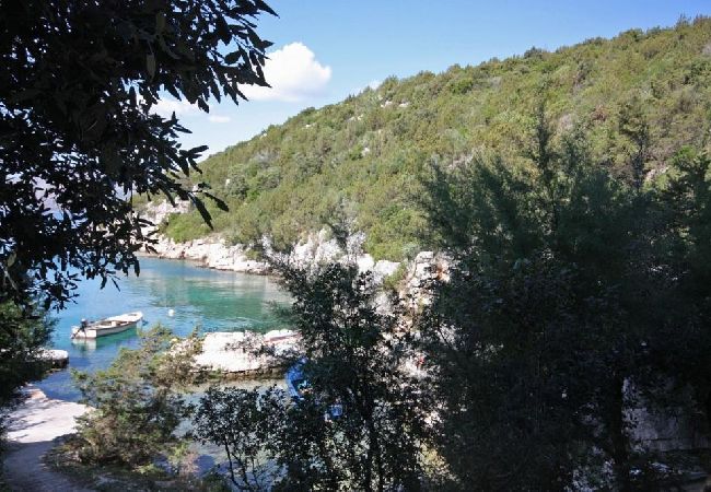 Apartament w Stari Grad - Apartament w Basina z Widok na morze, taras (3450-3) Apartament w Stari Grad - Apartament w Basina z Widok na morze, taras (3450-3)