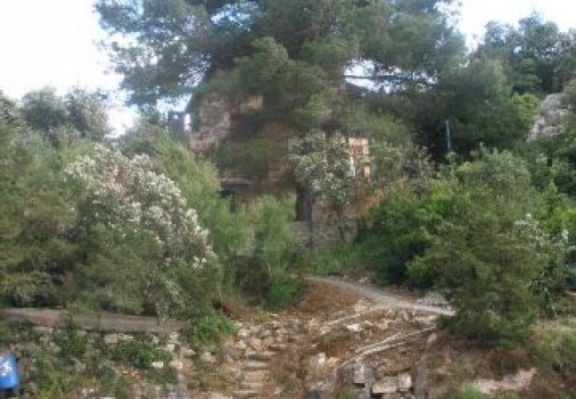 Apartament w Stari Grad - Apartament w Basina z Widok na morze, taras (3450-3) Apartament w Stari Grad - Apartament w Basina z Widok na morze, taras (3450-3)