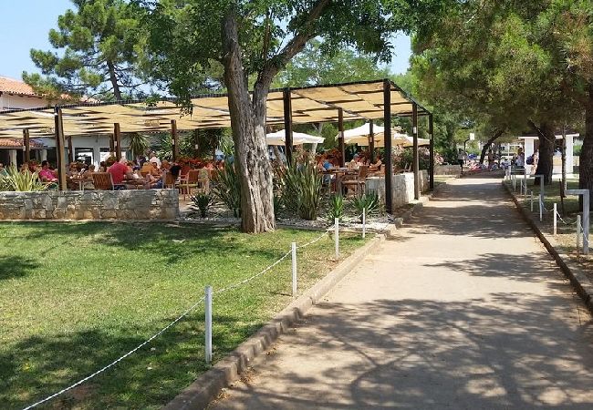 Apartament w Medulin - Apartament w Medulin z taras, Klimatyzacja, WIFI, Pralka (3479-1) Apartament w Medulin - Apartament w Medulin z taras, Klimatyzacja, WIFI, Pralka (3479-1)