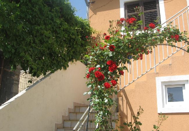 Apartament w Prvic Luka - Apartament w Prvić Luka z Widok na morze, taras, Klimatyzacja, WIFI (3347-1) Apartament w Prvic Luka - Apartament w Prvić Luka z Widok na morze, taras, Klimatyzacja, WIFI (3347-1)