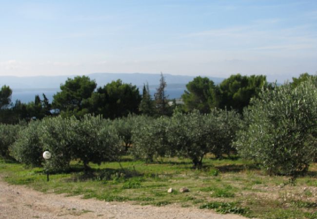 Dom w Bol - Domek wypoczynkowy w Bol z Widok na morze, taras, Klimatyzacja, WIFI (3543-1) Dom w Bol - Domek wypoczynkowy w Bol z Widok na morze, taras, Klimatyzacja, WIFI (3543-1)