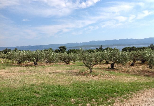 Dom w Bol - Domek wypoczynkowy w Bol z Widok na morze, taras, Klimatyzacja, WIFI (3543-1) Dom w Bol - Domek wypoczynkowy w Bol z Widok na morze, taras, Klimatyzacja, WIFI (3543-1)