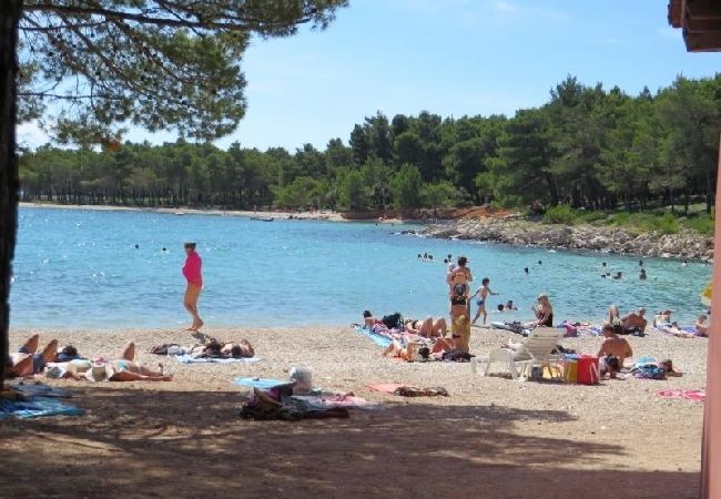 Apartament w Pakoštane - Apartament w Pakoštane z taras, Klimatyzacja, WIFI, Pralka (3548-4) Apartament w Pakoštane - Apartament w Pakoštane z taras, Klimatyzacja, WIFI, Pralka (3548-4)